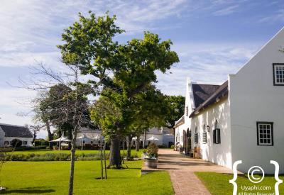 Steenberg Hotel Khoi Khoi Suite 163sqm two-bedroom private pool Constantia Cape Town