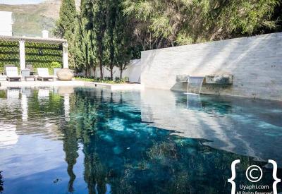 Steenberg Hotel swimming pool vineyard views Constantia Valley Cape Town