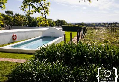 Steenberg Hotel estate gardens and grounds 1682 wine estate Constantia Cape Town