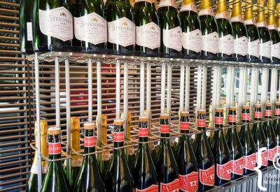 Steenberg Wine Estate modern tasting room Constantia Valley Cape Town South Africa