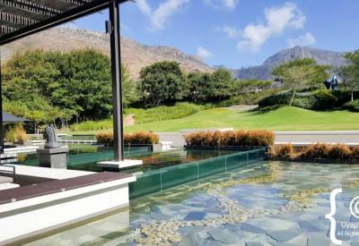 Steenberg vineyards mountain slopes Constantia Valley Cape Town South Africa