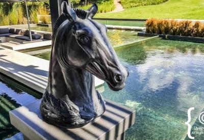 Catharina's Restaurant fine dining Steenberg Estate Constantia Cape Town South Africa