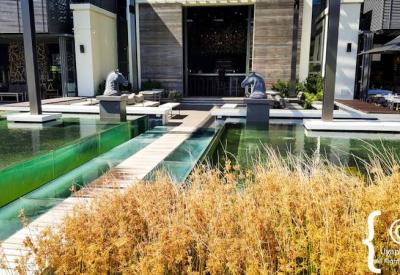 Steenberg Hotel luxury estate hotel and spa Constantia Valley Cape Town South Africa