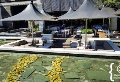 Steenberg Hotel luxury estate hotel and spa Constantia Valley Cape Town South Africa