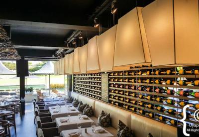Steenberg Estate vineyards overlooking Atlantic Ocean Constantia Cape Town South Africa