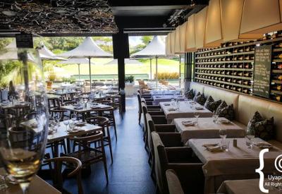 Steenberg Estate vineyards overlooking Atlantic Ocean Constantia Cape Town South Africa