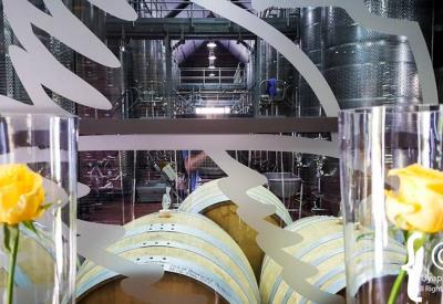 Steenberg Wine Estate cellar Sauvignon Blanc MCC Constantia Cape Town South Africa