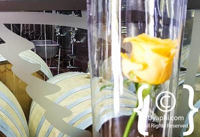 Steenberg Winery