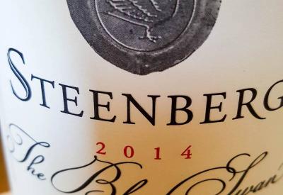 Steenberg Wine Estate modern tasting room Constantia Valley Cape Town South Africa