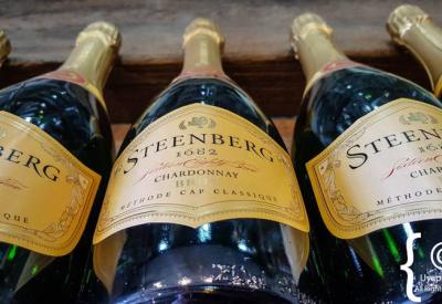 Steenberg Wine Estate cellar Sauvignon Blanc MCC Constantia Cape Town South Africa