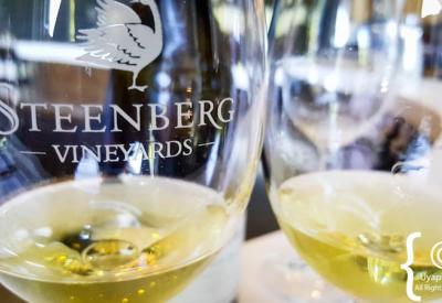 Steenberg Wine Estate tasting area courtyard water features Constantia Cape Town