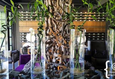Steenberg MCC sparkling wine tasting Constantia Cape Town South Africa