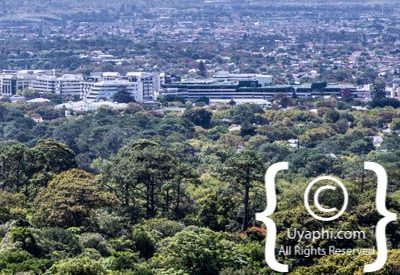Kirstenbosch Botanical Gardens