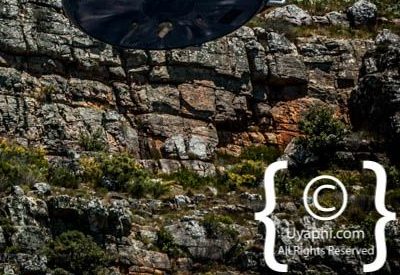 Table Mountain South Africa