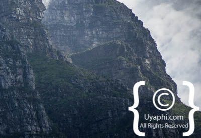 Kirstenbosch Botanical Gardens