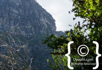 Kirstenbosch Botanical Gardens