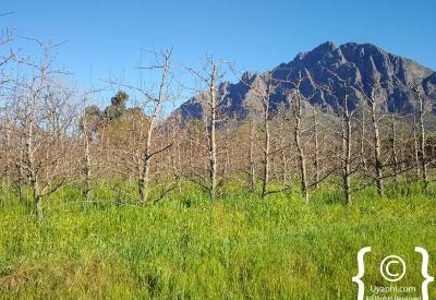 Scenic mountain pass roads surrounding Tulbagh valley Western Cape South Africa