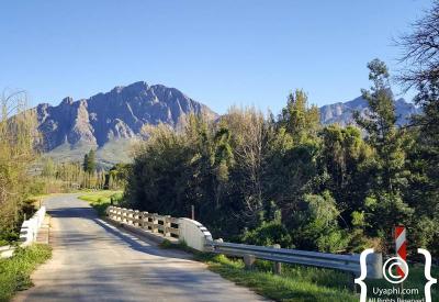 Autumn colours vineyards and orchards Tulbagh Cape Winelands Western Cape South Africa