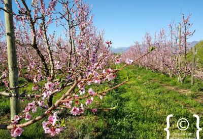 Tulbagh scenic hamlet Cape Winelands destination Western Cape South Africa