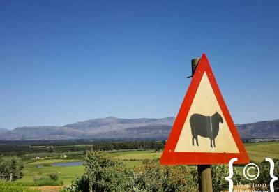 Tulbagh scenic hamlet Cape Winelands destination Western Cape South Africa