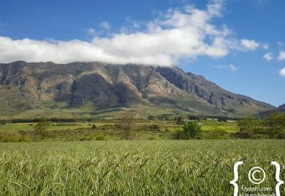 Tulbagh valley surrounded by mountain ranges Cape Winelands Western Cape South Africa