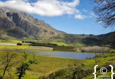 Fruit farms and orchards Tulbagh valley Western Cape Cape Winelands South Africa