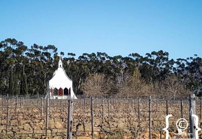 Fruit farms and orchards Tulbagh valley Western Cape Cape Winelands South Africa