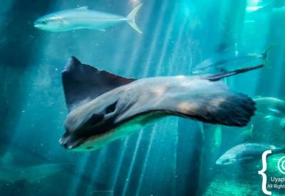 Interactive children's play centre Two Oceans Aquarium Cape Town family day out