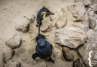 Interactive children's play centre Two Oceans Aquarium Cape Town family day out