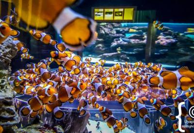 Interactive children's play centre Two Oceans Aquarium Cape Town family day out