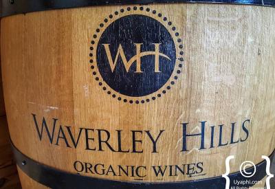 Waverley Hills organic wine estate scenery Wolseley Tulbagh Western Cape South Africa