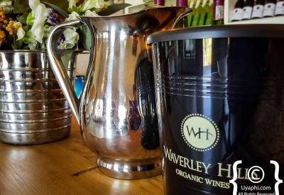Waverley Hills organic wine estate scenery Wolseley Tulbagh Western Cape South Africa