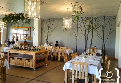 Waverley Hills organic vineyard landscape Wolseley near Tulbagh Western Cape