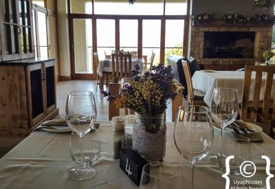 Waverley Hills wine tasting low sulphite organic wines Tulbagh Western Cape South Africa