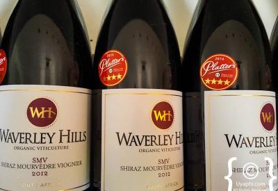Waverley Hills wine tasting area mountain slope views Tulbagh Winelands South Africa