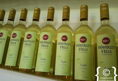 Waverley Hills wine estate restaurant and cellar door tasting Tulbagh Western Cape