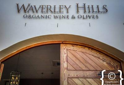 Waverley Hills wine cellar low-sulphite organic wine production Tulbagh South Africa
