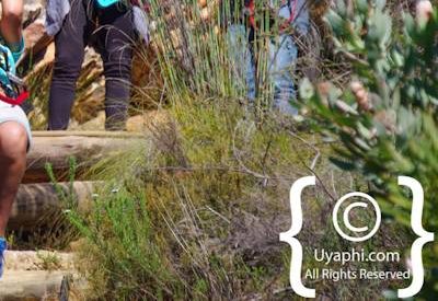 Ceres Zipline Adventure