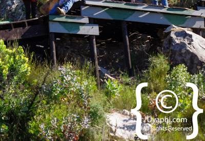 Ceres Zipline Photo Gallery