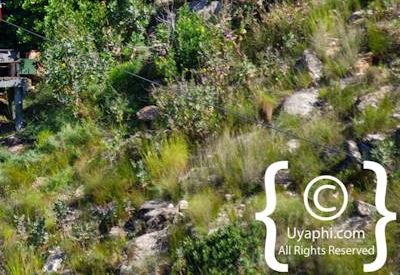 Ceres Zipline Photo Gallery