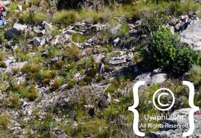 Ceres Zipline Photo Gallery