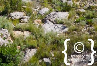 Ceres Zipline Photo Gallery