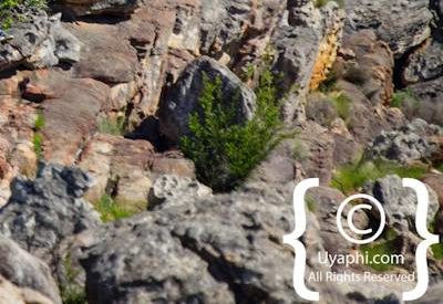 Ceres Zipline Photo Gallery