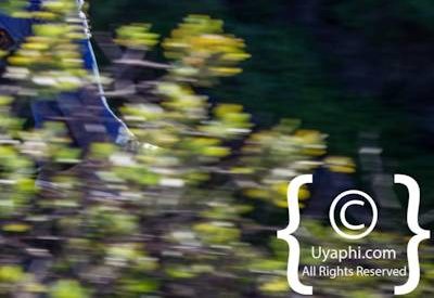 Ceres Zipline Photo Gallery