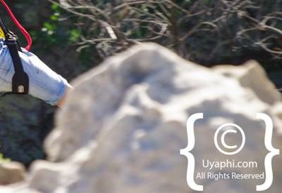 Ceres Zipline Photo Gallery