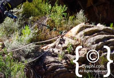 Ceres Zipline Adventure