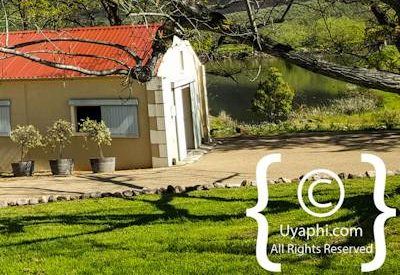 Oakhurst Olive Estate