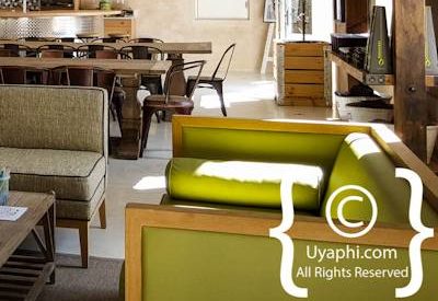 Oakhurst Olive Estate Photo Gallery