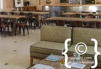 Oakhurst Olive Estate Photo Gallery