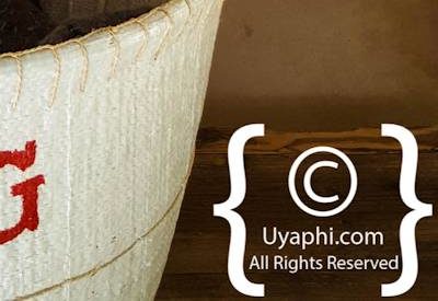 Oakhurst Olive Estate